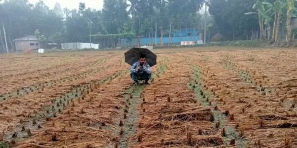 আসছে বর্ষা: প্রস্তুত তো গ্রাম?
